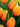 103 Tulips